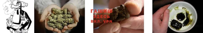 гидропоника Абаза