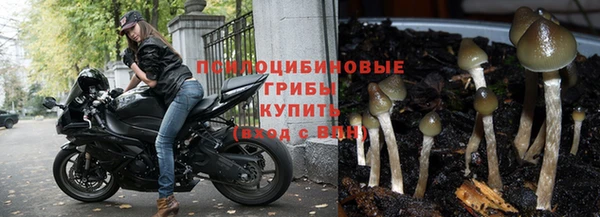 гашик Абдулино