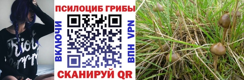 Галлюциногенные грибы GOLDEN TEACHER  Звенигород 