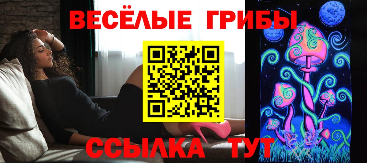 Псилоцибиновые грибы мухоморы  Псилоцибиновые грибы Psilocybe  Вход с VPN  цена наркотик  Звенигород 