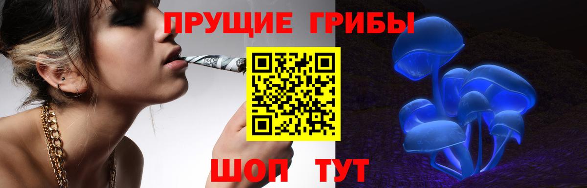 Псилоцибиновые грибы GOLDEN TEACHER Звенигород